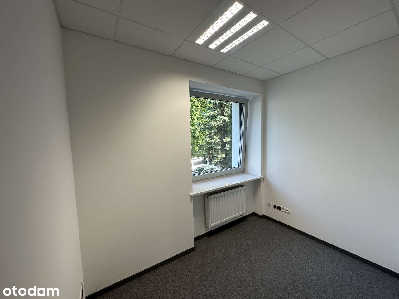 14 pokoi gabinetów dwa poziomy w biurowcu klasy A Bielany - Pełny obrazek: 5/13