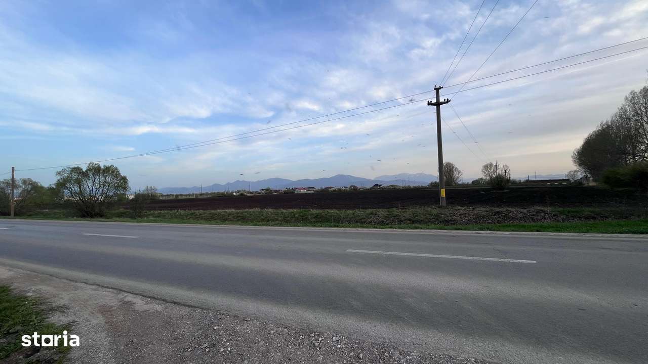 Teren 50000mp Extravilan-Intrare Halchiu-Cod 4486 - Imagine principală: 5/8