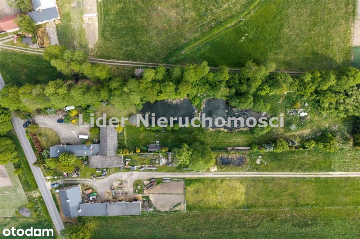 Posiadłość ze stawem sprzedam - Pełny obrazek: 5/20