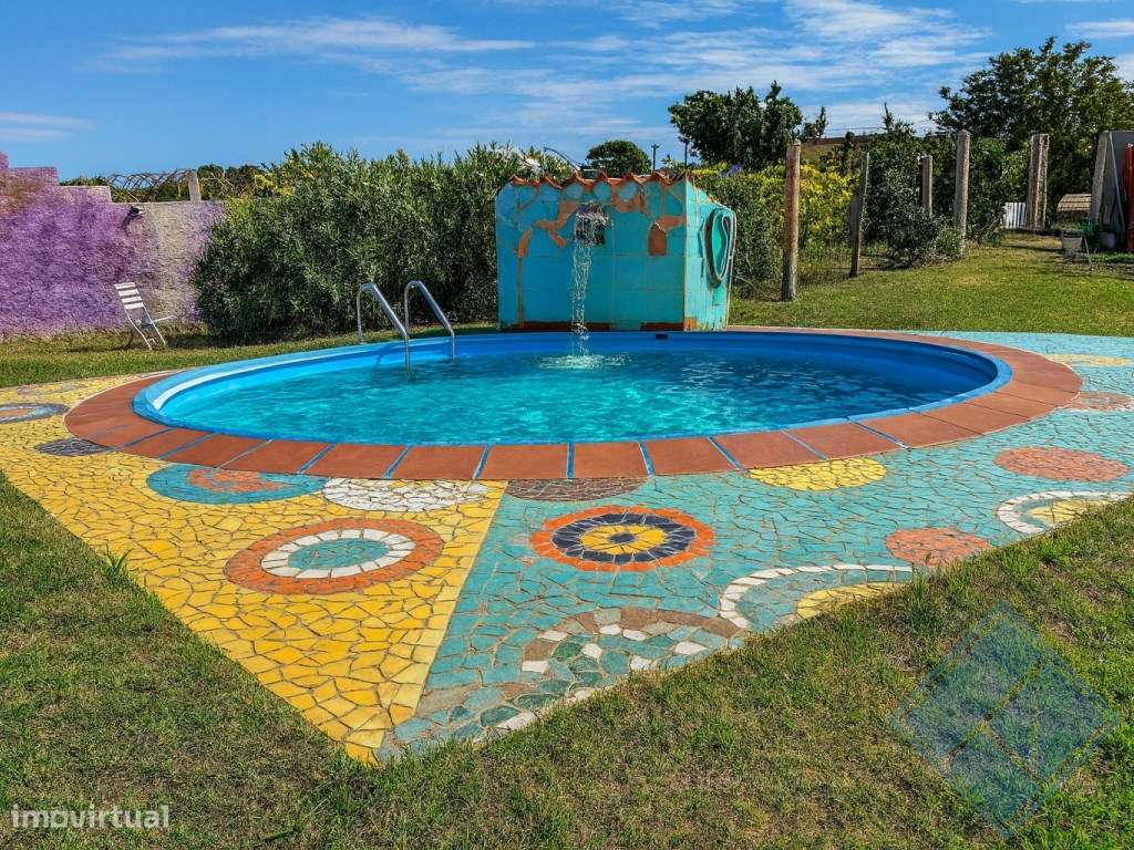 Monte Alentejano com Piscina, Vinha e Árvores de Fruto-12