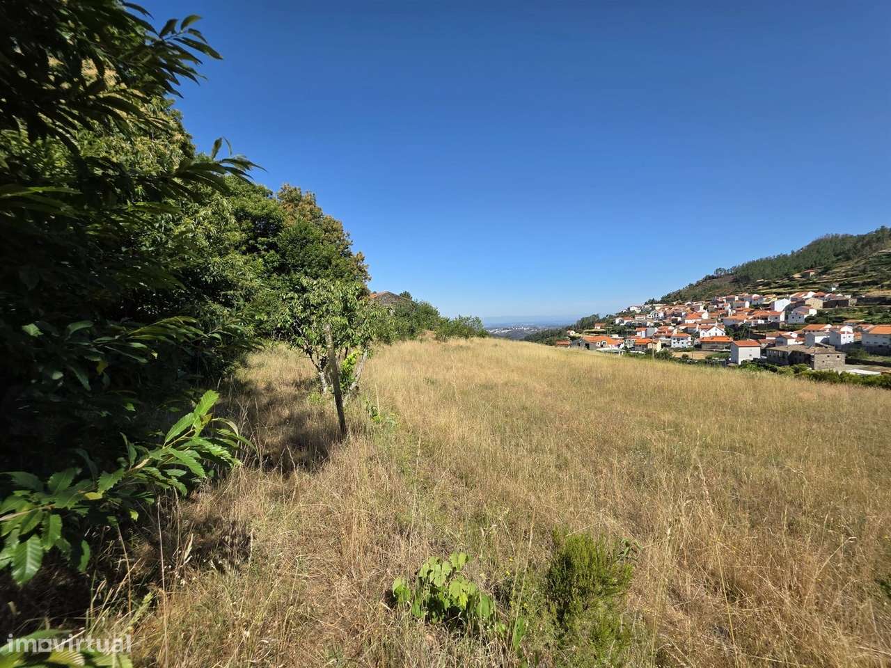 Quinta  Venda em Valezim,Seia-9