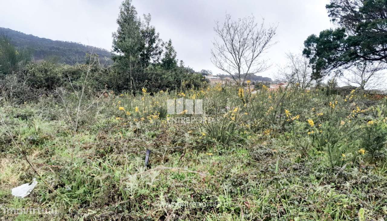 Venda de Lote para construção, Afife, Viana do Castelo - Grande imagem: 5/30