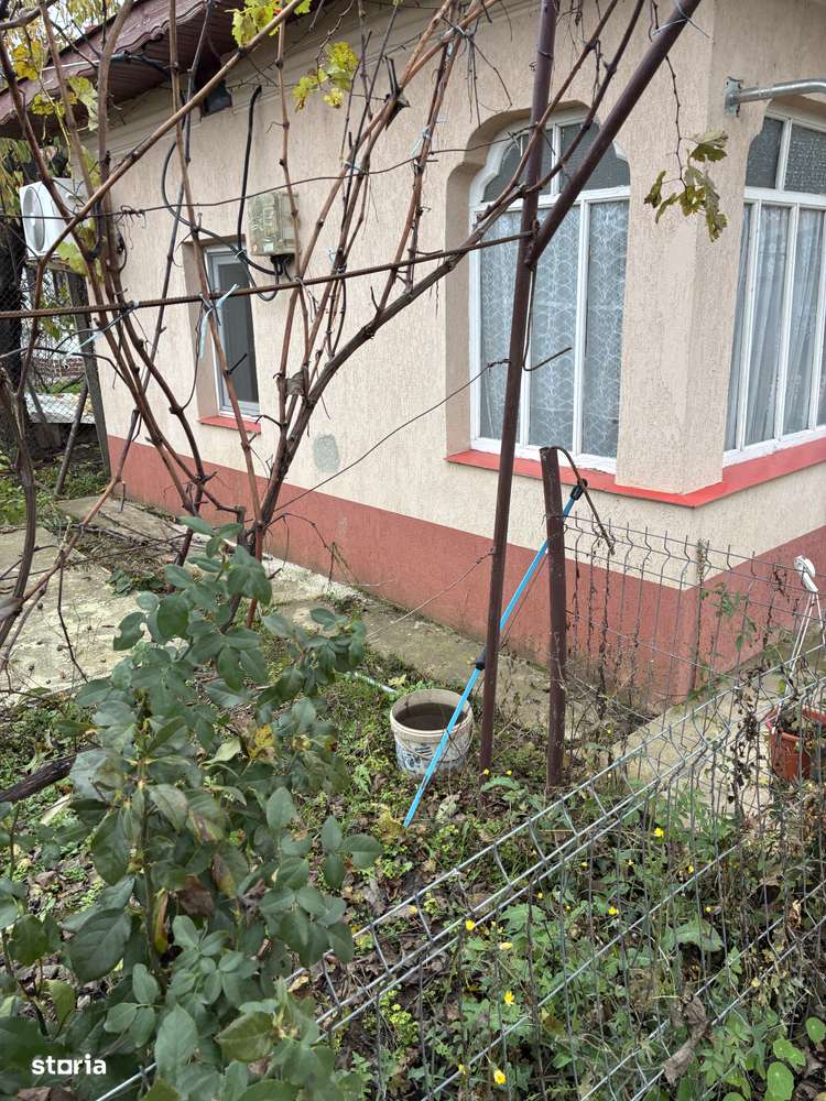 Casa de vanzare 43 klm de Bucuresti-13