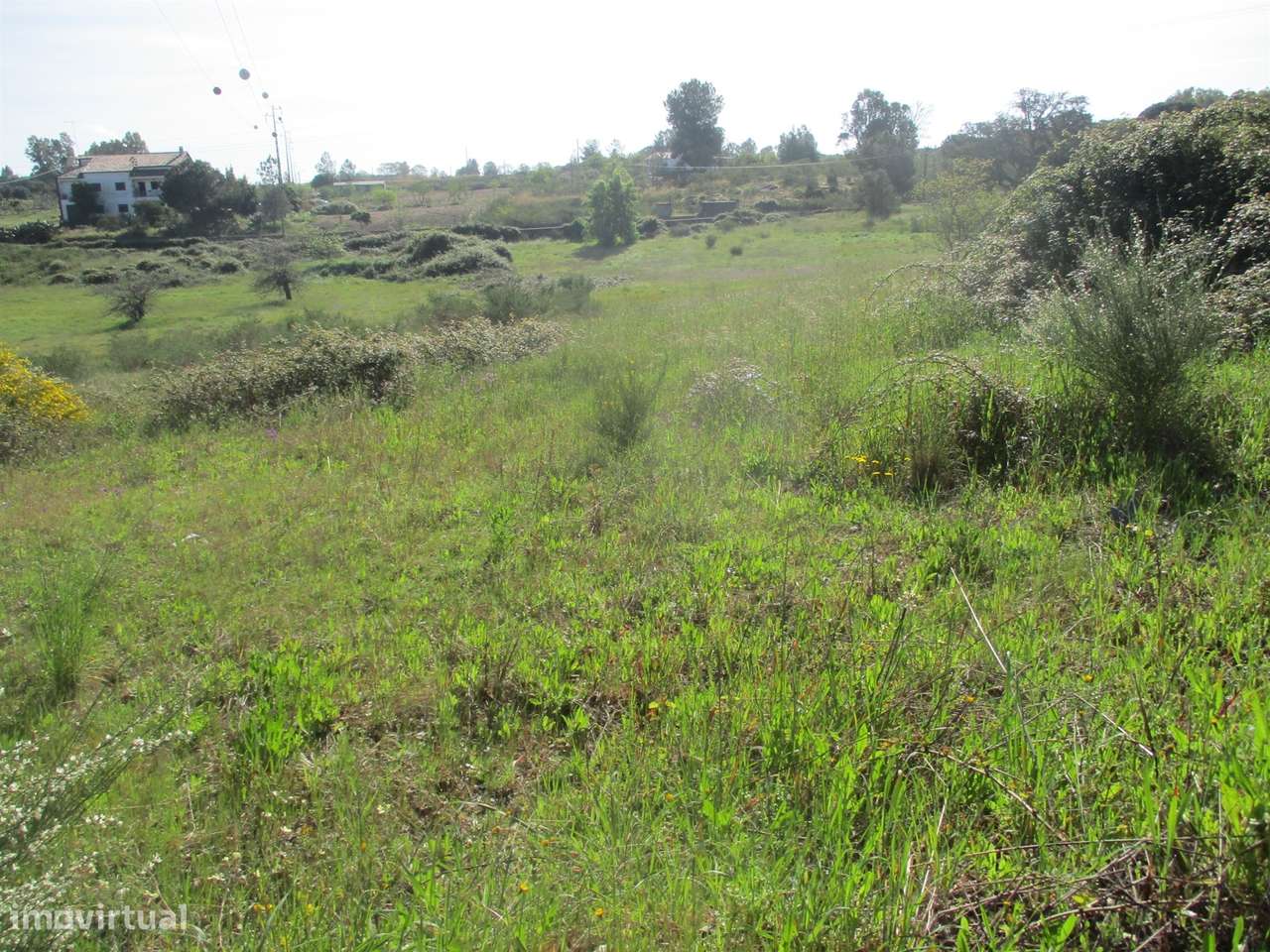 Quinta com habitação, poço, sobreiro, casa-12