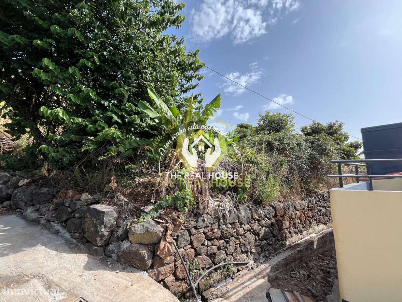 Terreno para Construção em Santa Cruz - Grande imagem: 4/9