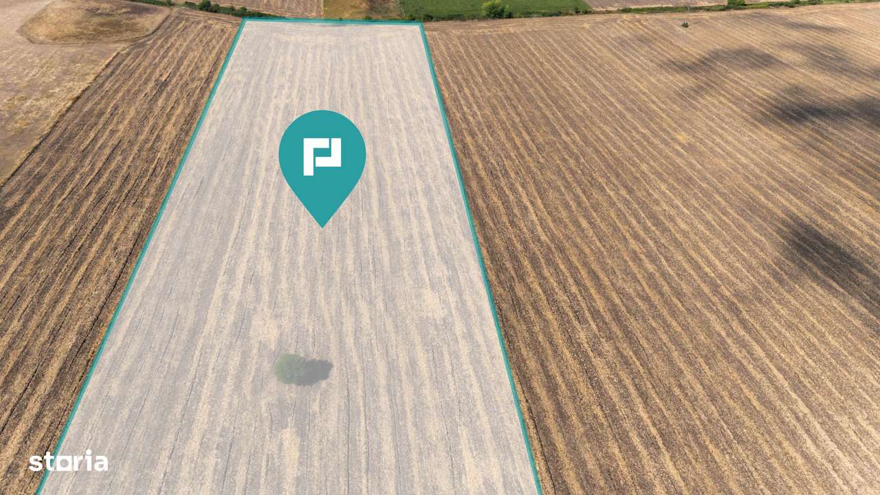 Oportunitate! Teren 4.345 mp – Şagului - Imagine principală: 5/10