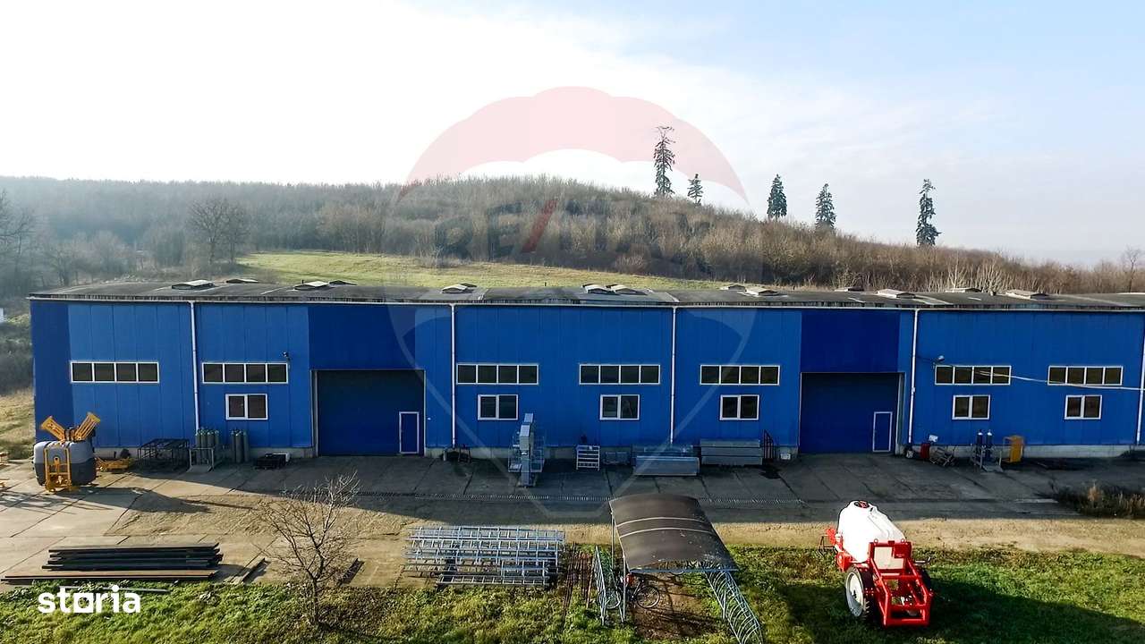 Teren industrial de vânzare - 18.820 mp+proiect de extindere, Bonțida-4