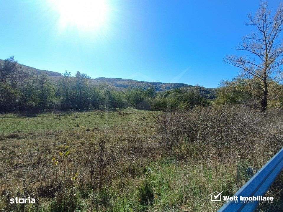 Teren extravilan de vanzare in Vultureni Cluj - Imagine principală: 3/5