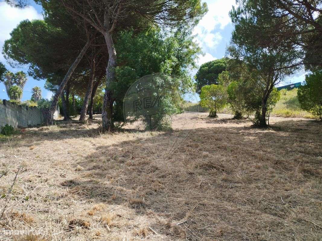 Terreno  para venda - Grande imagem: 5/9
