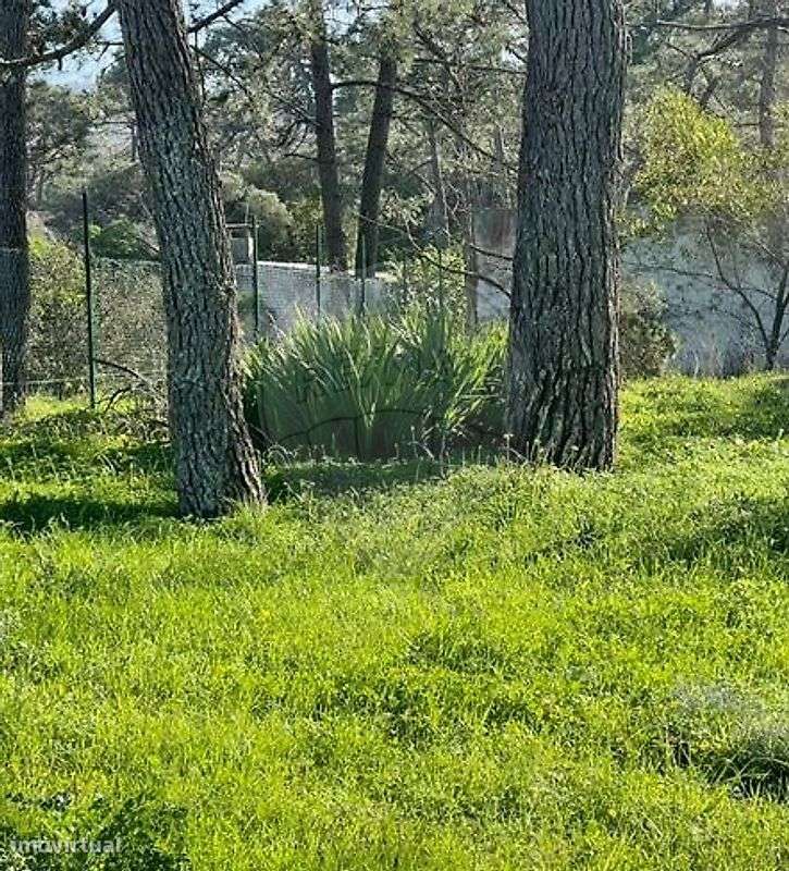 Moradia T1 para venda-18