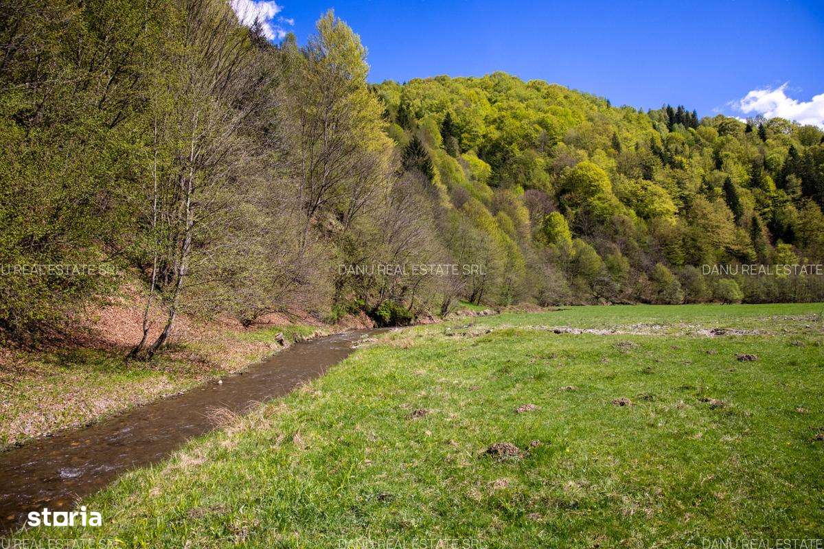 Zarnesti Barsa Fierului-Teren 1893mp-fantana si acces parau-comision0%-7