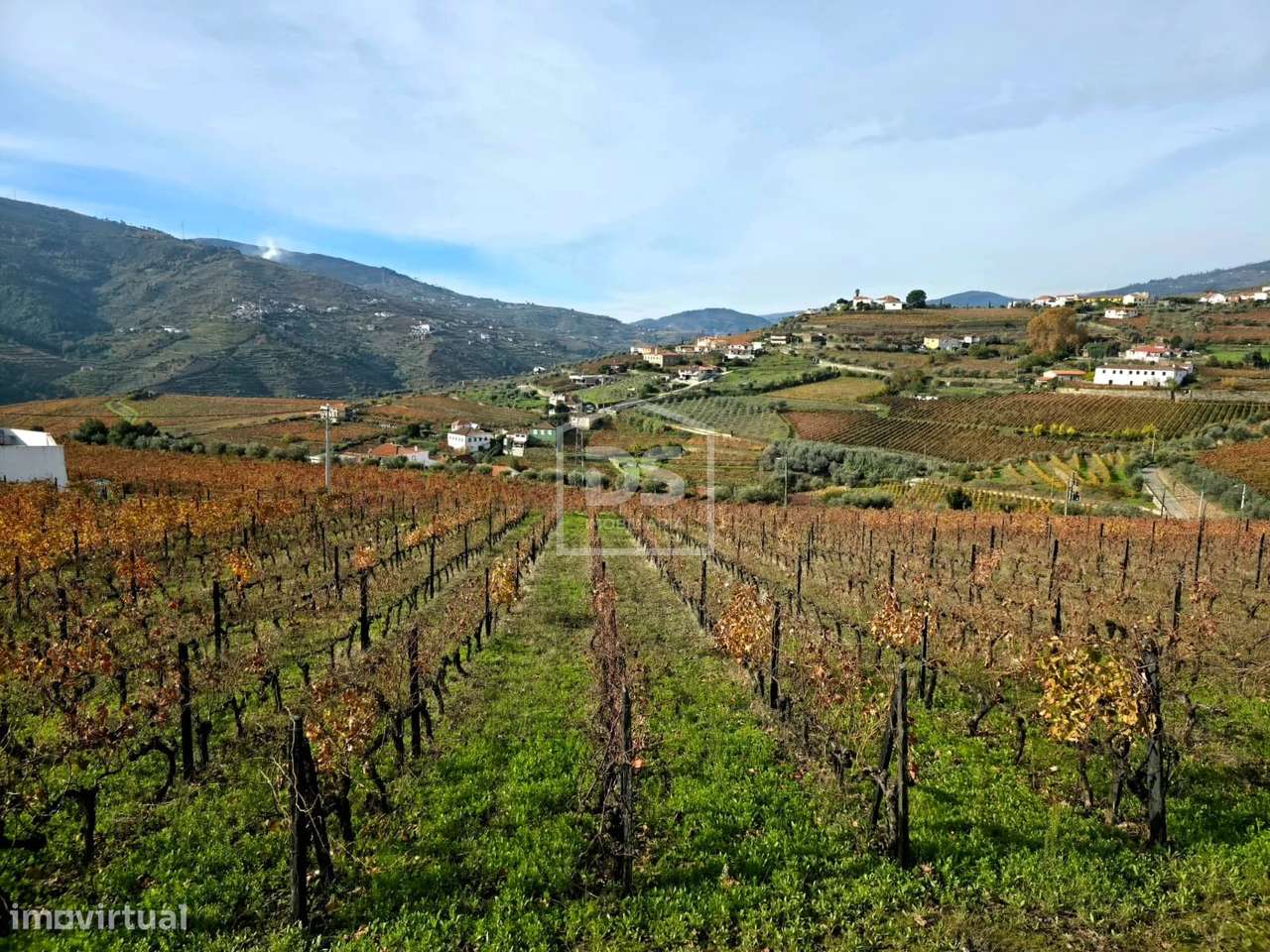 Quinta T4 Venda em Fontelas,Peso da Régua-17