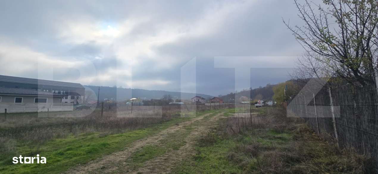 Teren intravilan de 2.000 mp, front 18 metri, Leamna de Jos - Imagine principală: 4/4