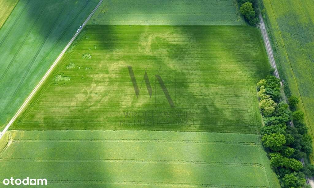 Działka inwestycyjna AG/6 – Cieśle, gmina Oleśnica-2