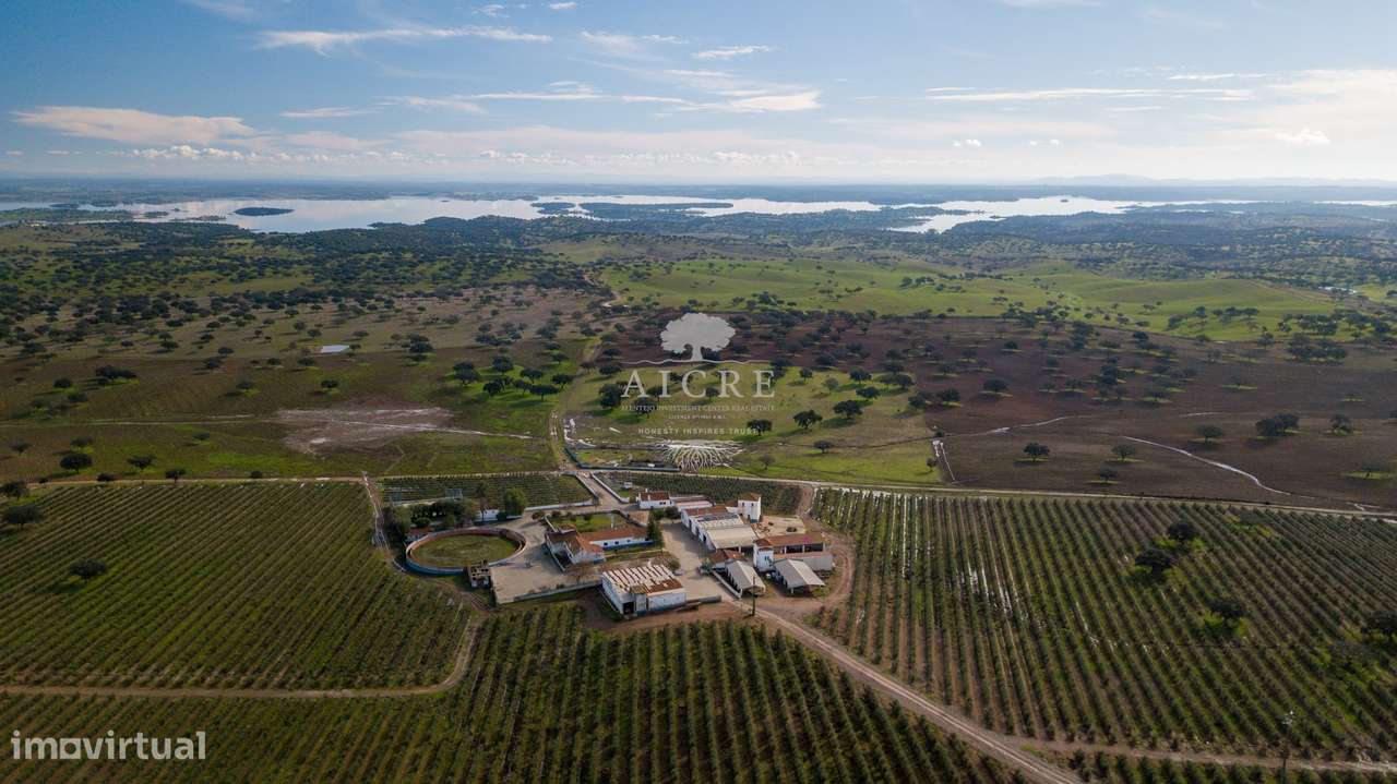 Herdade Alentejo-7