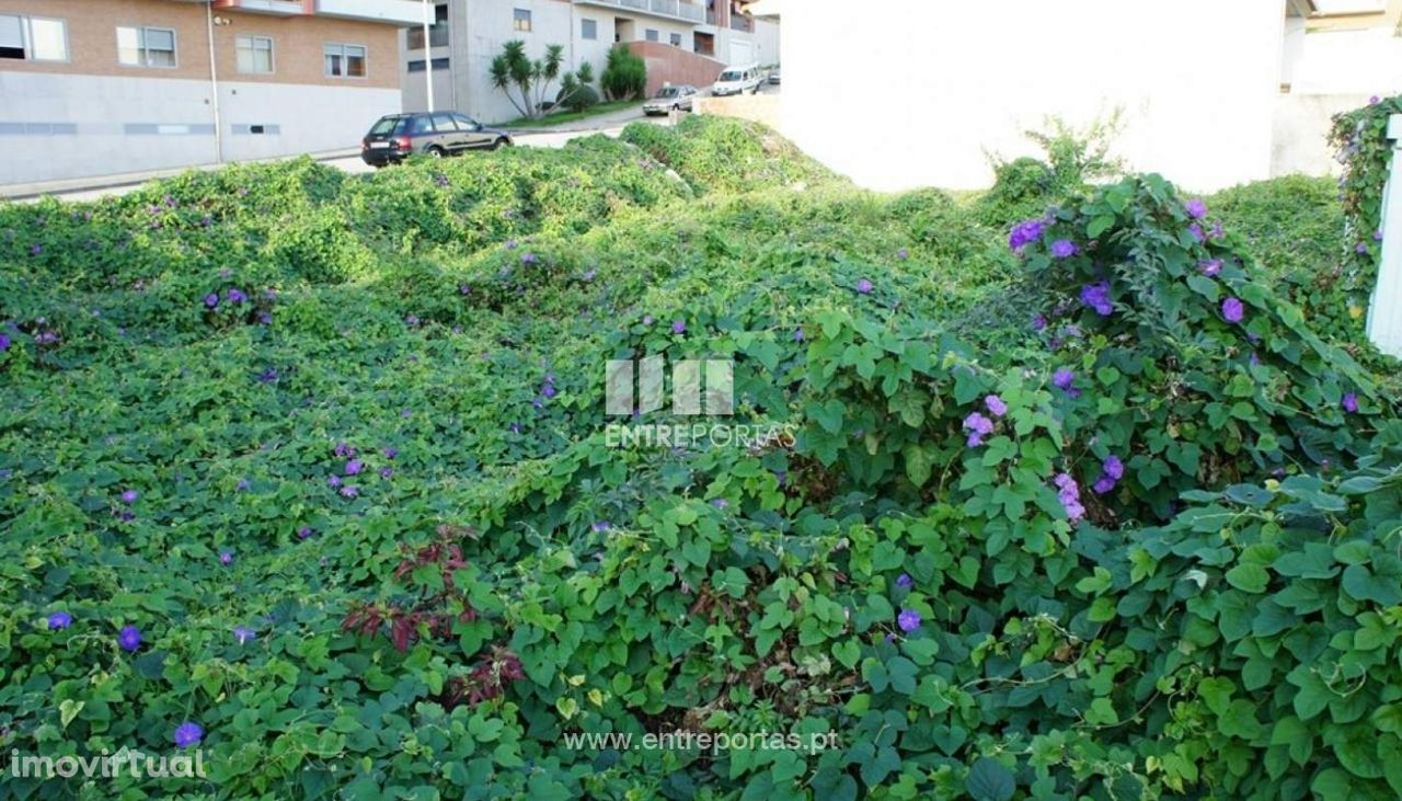 Venda de Lote, Areosa, Viana do Castelo