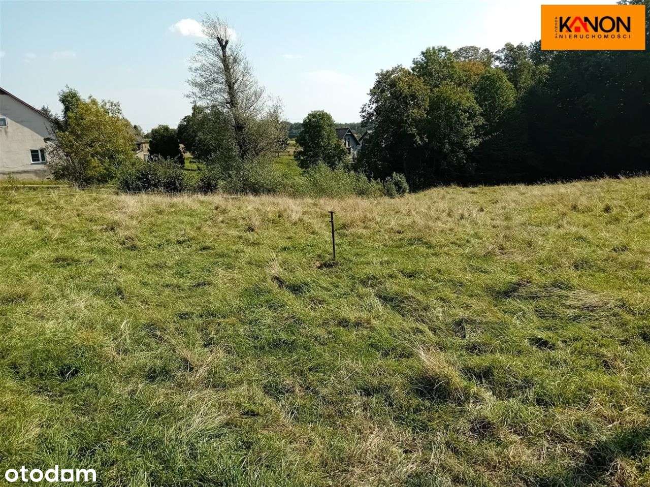 Działka, 3 700 m², Roztropice-6