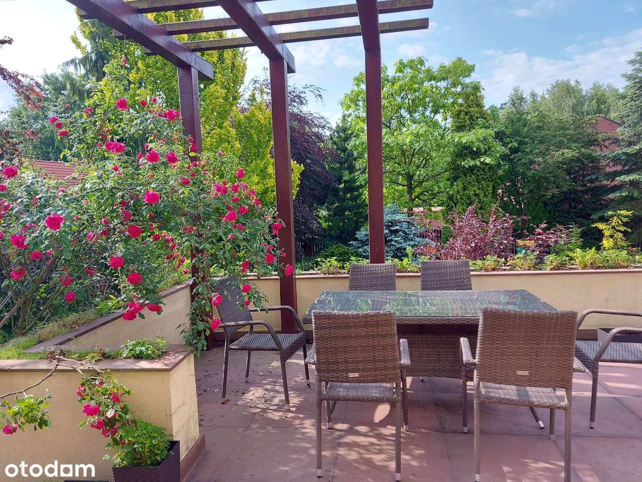 DOM NA SPRZEDAŻ Katowice - Kostuchna/Podlesie - BEZ POŚREDNIKA - Pełny obrazek: 2/10