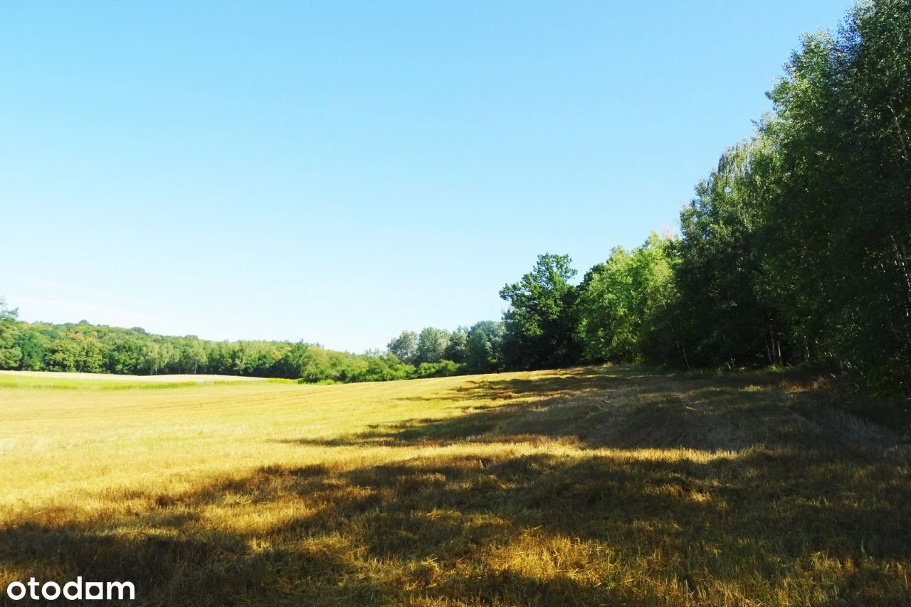 Działka z lasem - 4,83ha - obszar Natura 2000 !