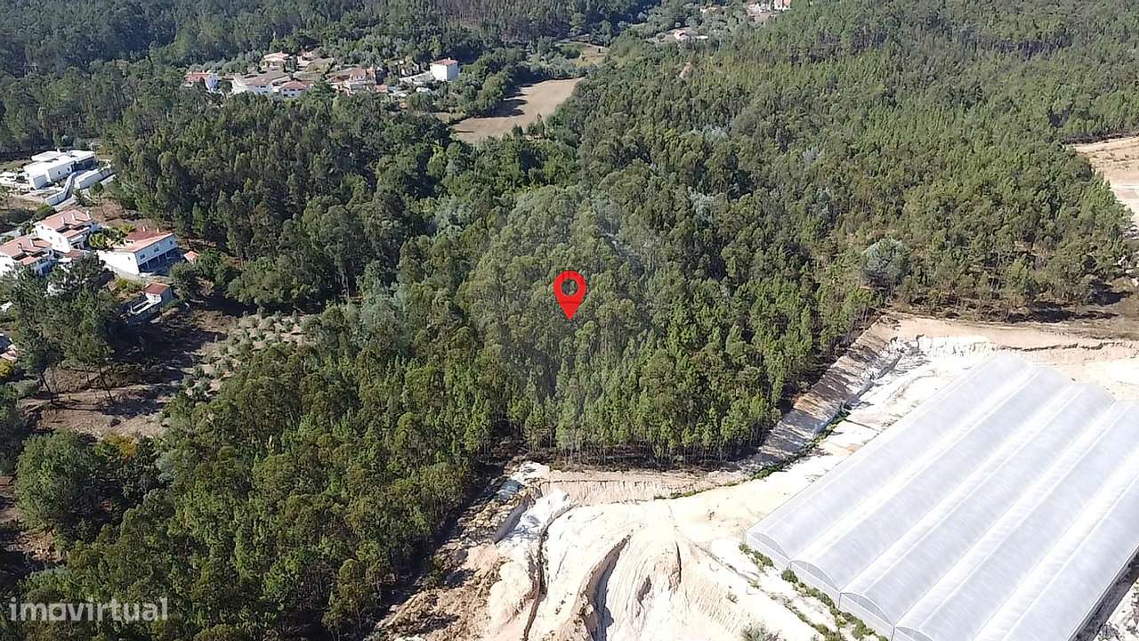 Terreno  para venda - Grande imagem: 5/6