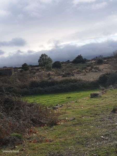 Terreno rústico Escalhão - Grande imagem: 4/6