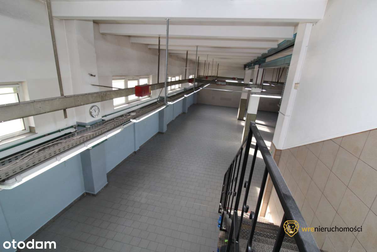 Hala produkcyjno-magazynowa/Warsztat/Biuro/Parking-9