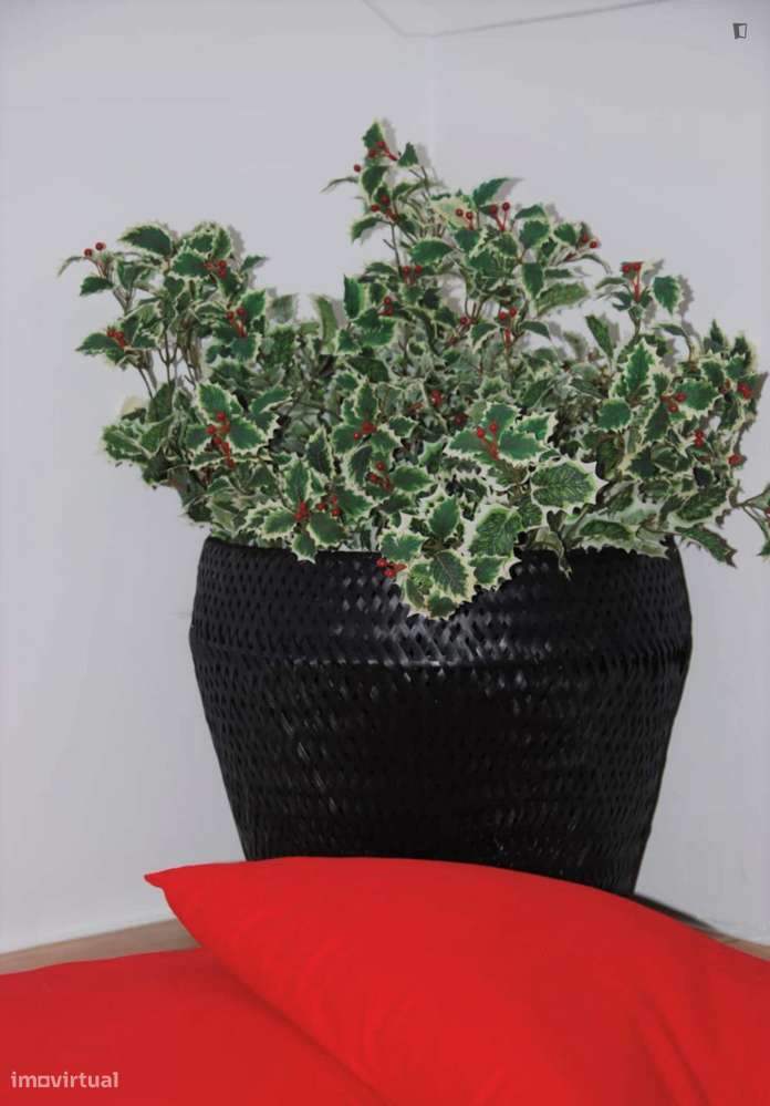 Apartamento com 1 quartos - localizado em Bairro Alto Lisbon - Grande imagem: 4/7