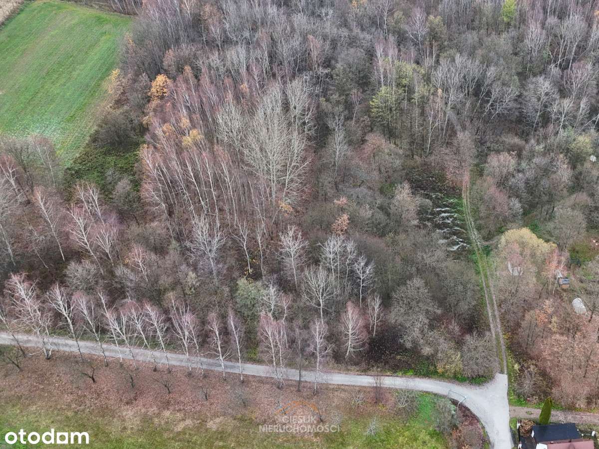 Rezerwacja! Działka budowlana otoczona lasem-5