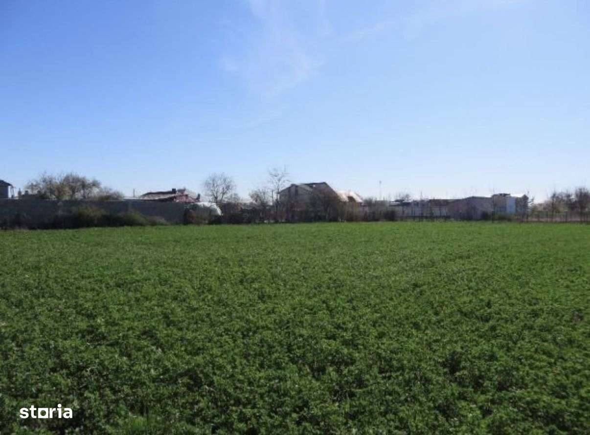 Teren de vânzare în zona Lacul Sărat - Imagine principală: 4/6