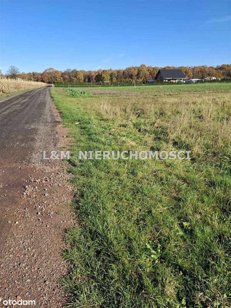 Duża działka w Czuchowie !! - Pełny obrazek: 4/6