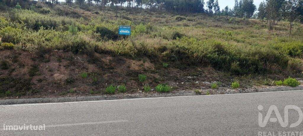 Terreno em Pedrógão Grande de 5700,00 m2 - Grande imagem: 3/15