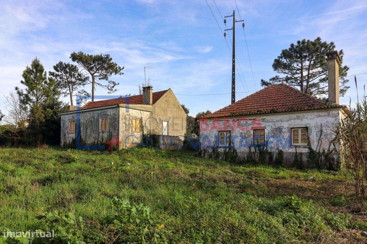 Quintinha com 2 moradias (T2 e T3) no Sobreiro, Mafra - Grande imagem: 5/25