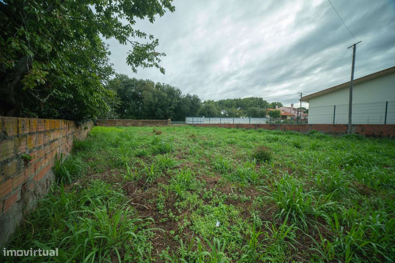 Terreno para venda - Murtosa-3