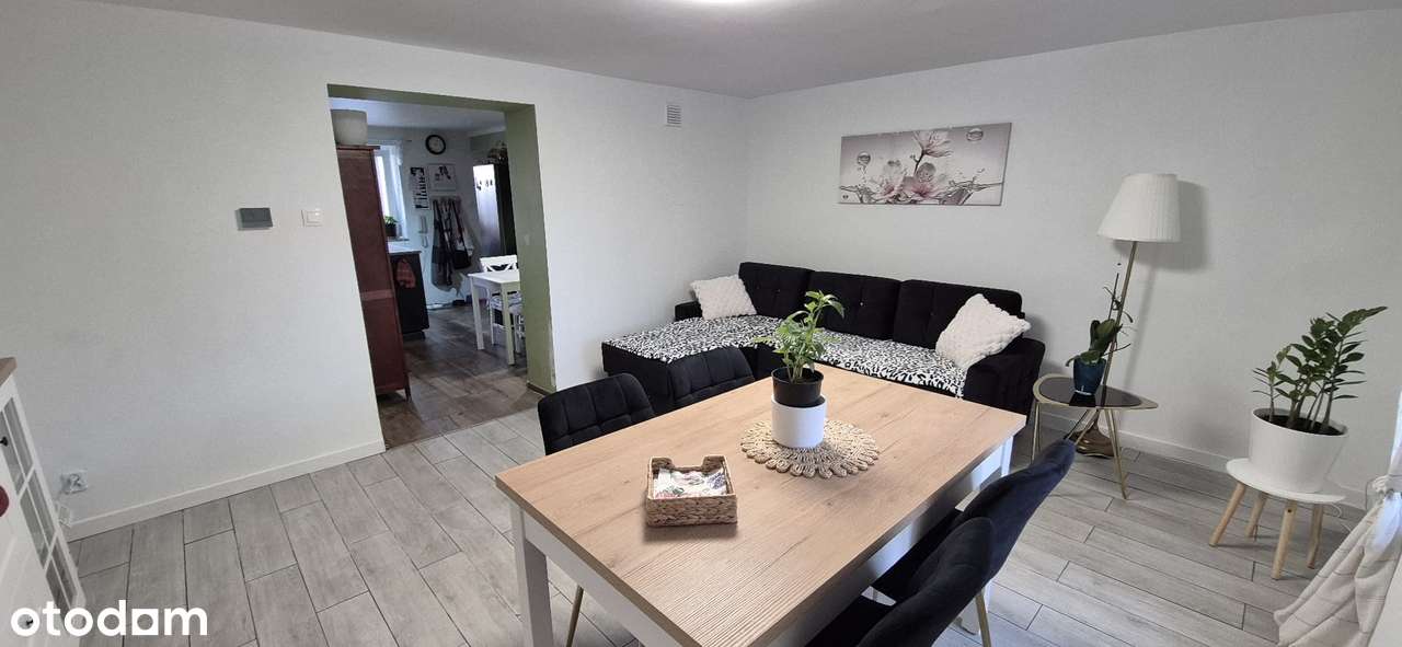 Dom na sprzedaż. Michalin. - Pełny obrazek: 4/19