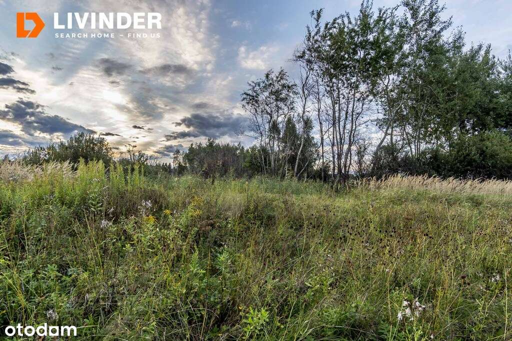 Działka z możliwością budowy domu i bliźniaka - Pełny obrazek: 3/4