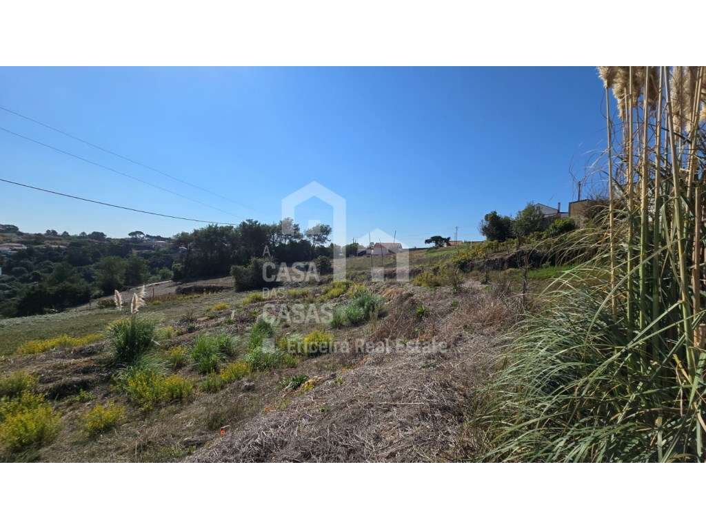 Terreno - Ericeira 2,5 km, A Casa das Casas - Grande imagem: 4/9
