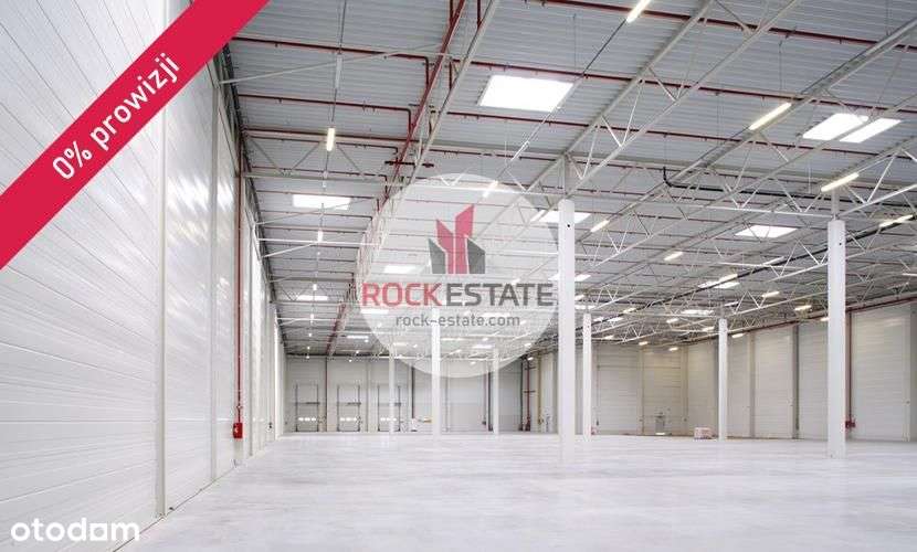 Magazyn 5000m2 w Rzeszowie - 0% prowizji - Pełny obrazek: 4/5