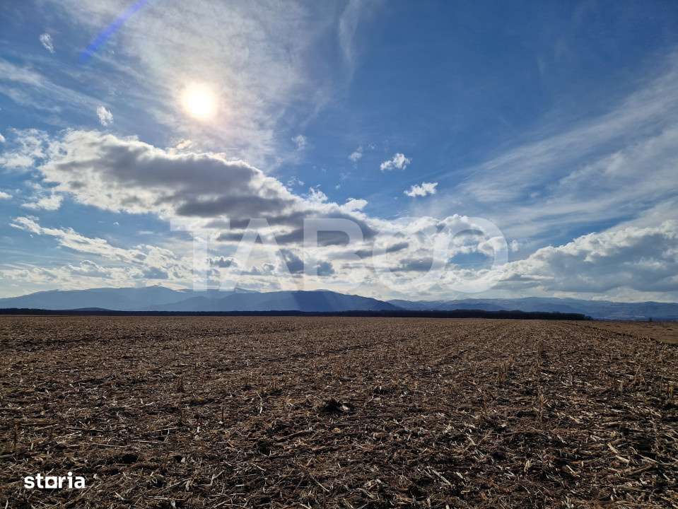 Teren extravilan arabil 5950 mp Selimbar - zona Sopa - Imagine principală: 3/4