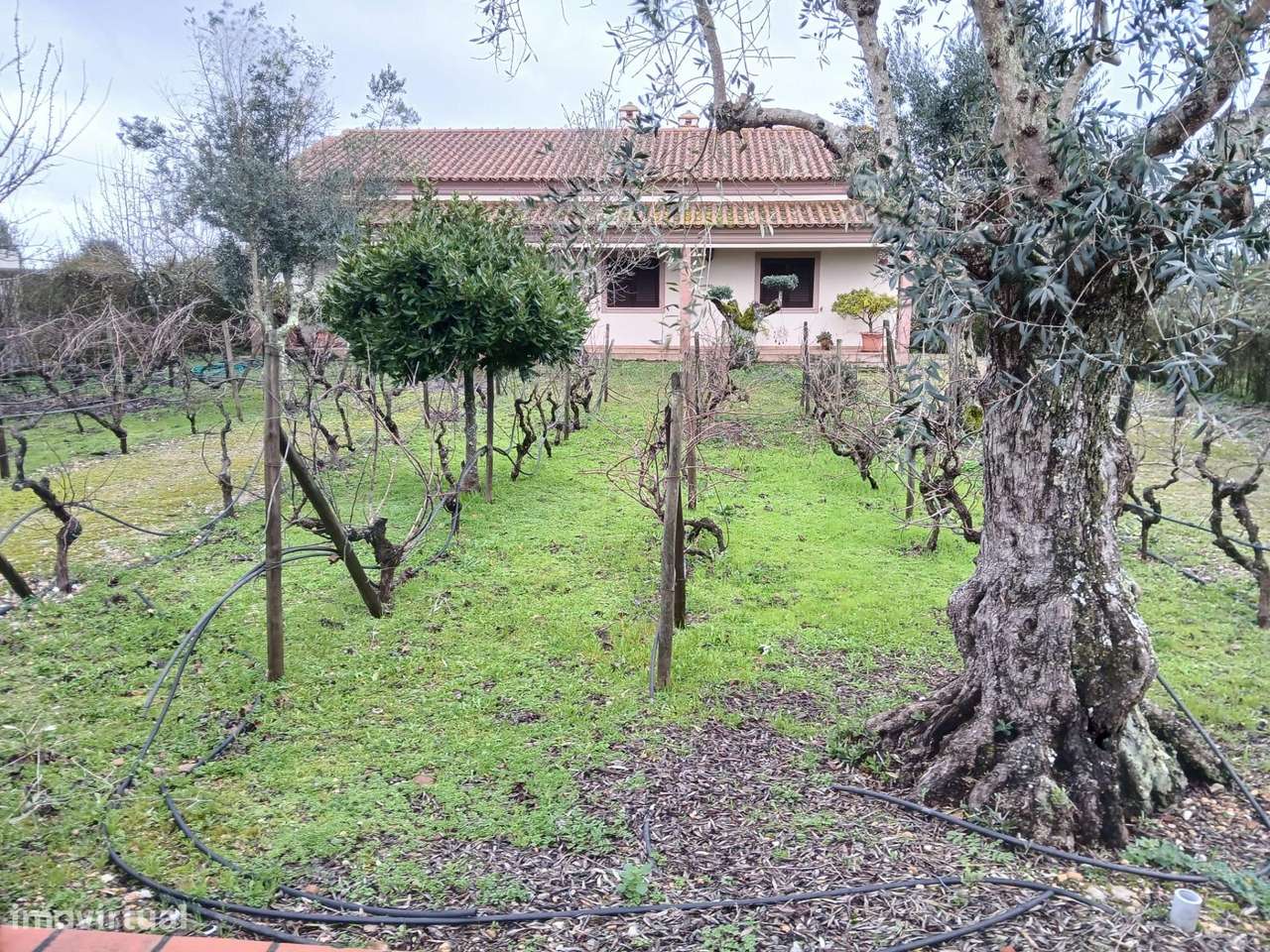 Moradia T4 com Piscina e Terreno Próxima de Constância-25