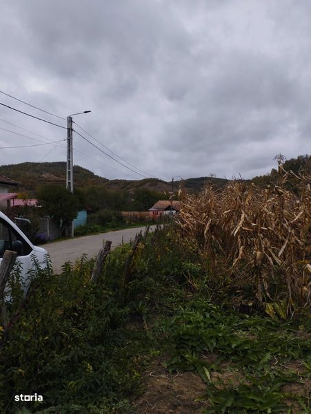 Vand casa si sau teren sat Dragu la 50 km de Cluj Napoca