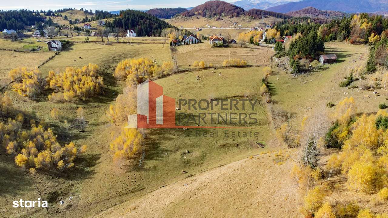 Teren cu PUZ aprobat Fundata / priveliste superba-8