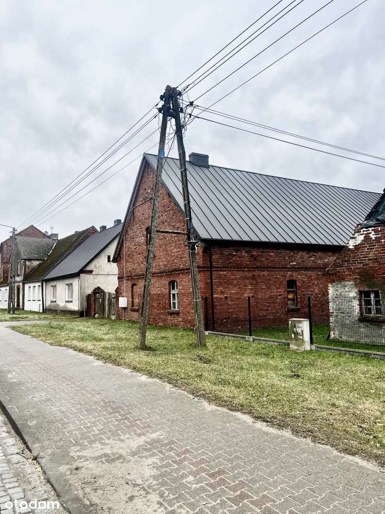 Kwatery pracownicze | Hotel | Agroturystyka Milicz | Las, stawy milick - Pełny obrazek: 4/14