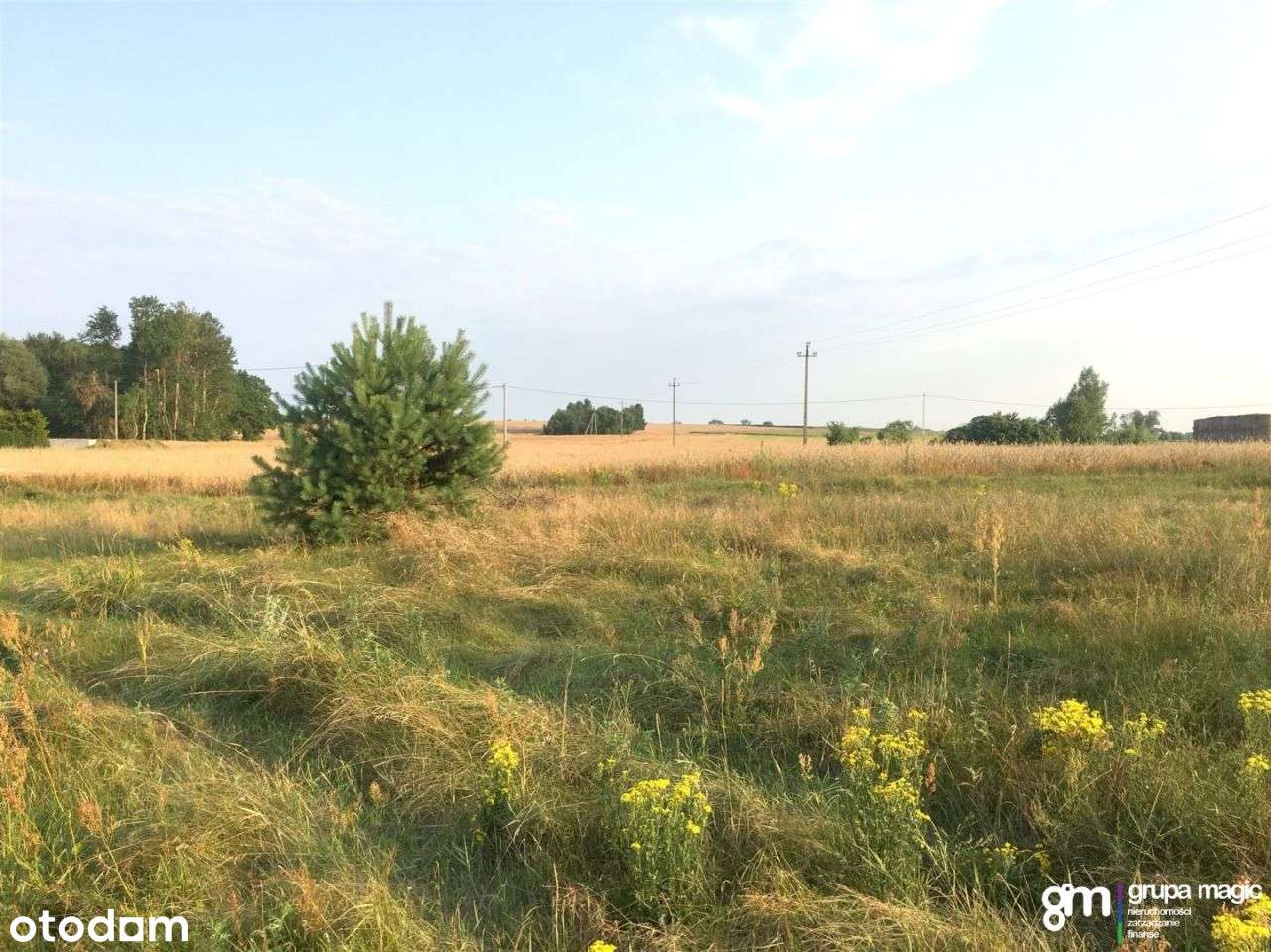 Działki działka Małszyce - warunki zabud. - Las - Pełny obrazek: 5/5