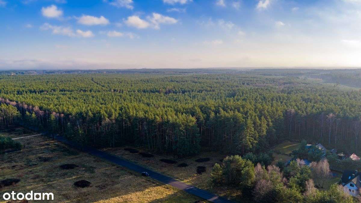 Duża Działka Budowlana Z Prywatnym Lasem-2