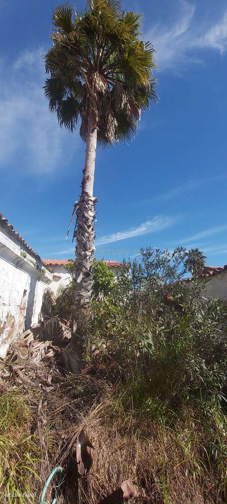 Moradia, 300 m², Baleizão-28