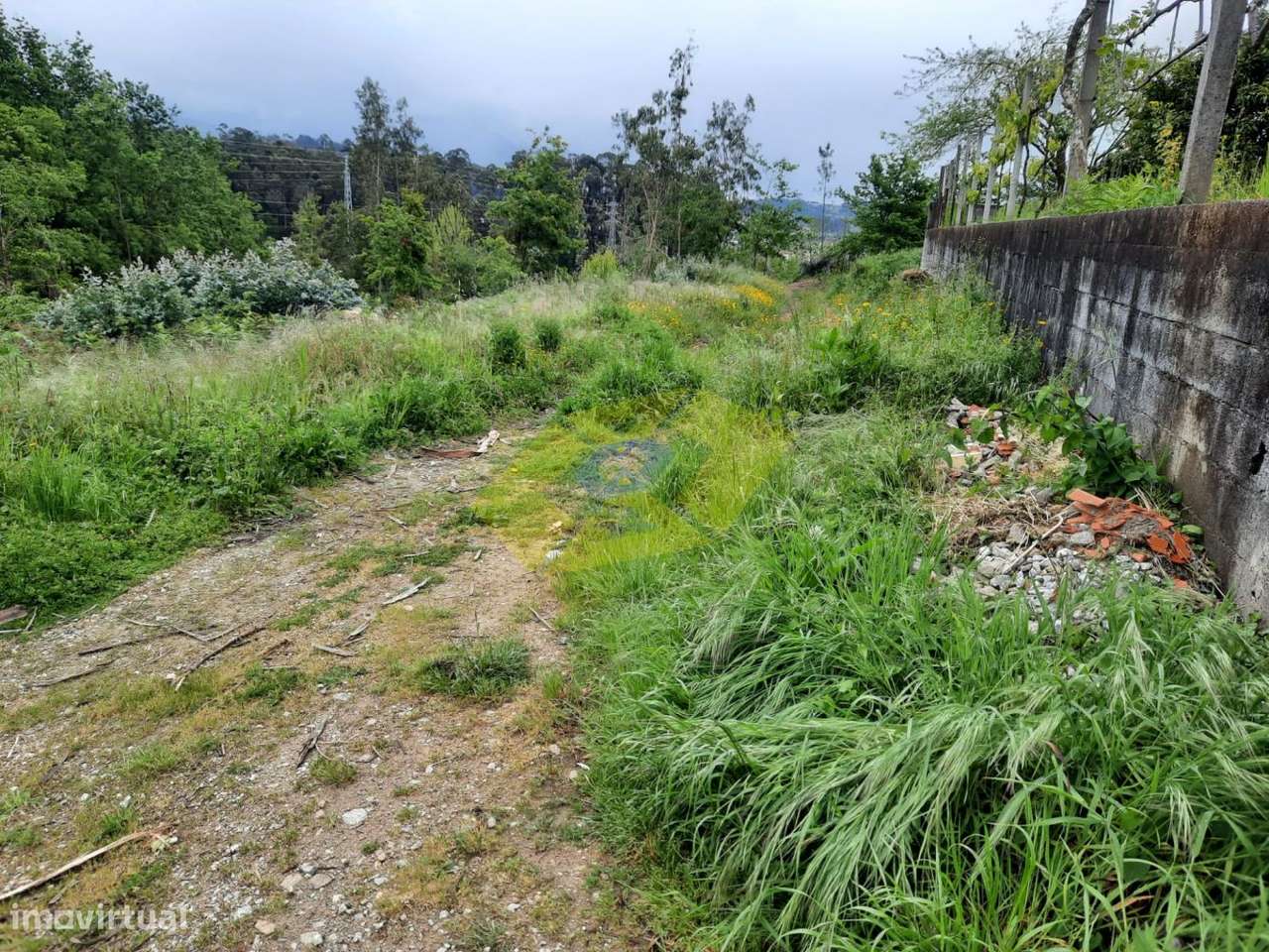 Terreno Florestal em Felgueiras com 6000m2 - Grande imagem: 5/6