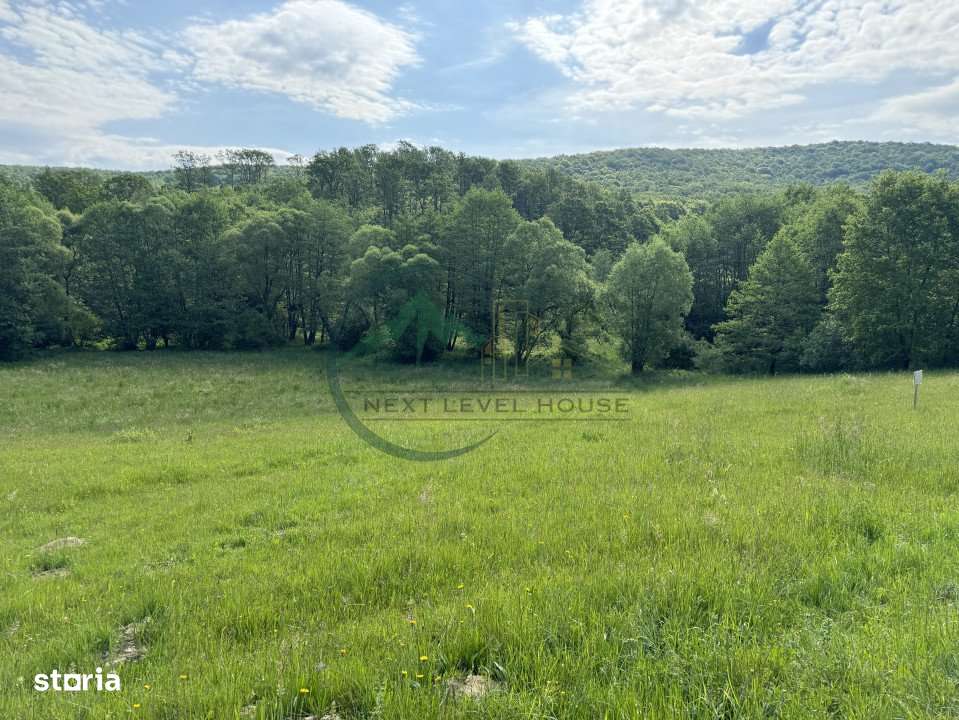 Teren extravilan - oportunitate investitie - Imagine principală: 2/7