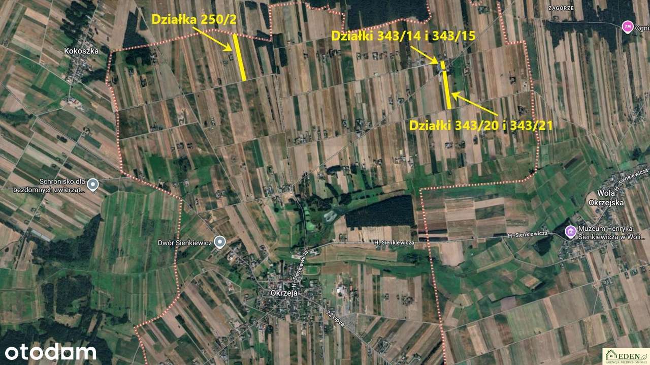 Sprzedam  działki o pow. 0,24 Ha i  1,17 Ha w Okrzei gm. Krzywda - Pełny obrazek: 3/3