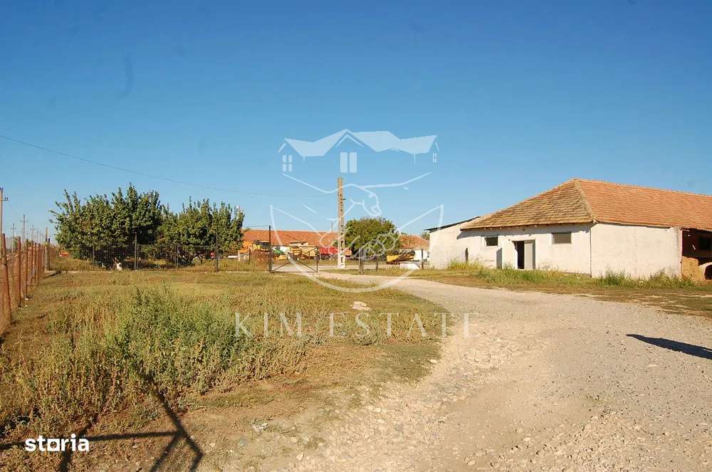 De vanzare ferma N.Balcescu-6