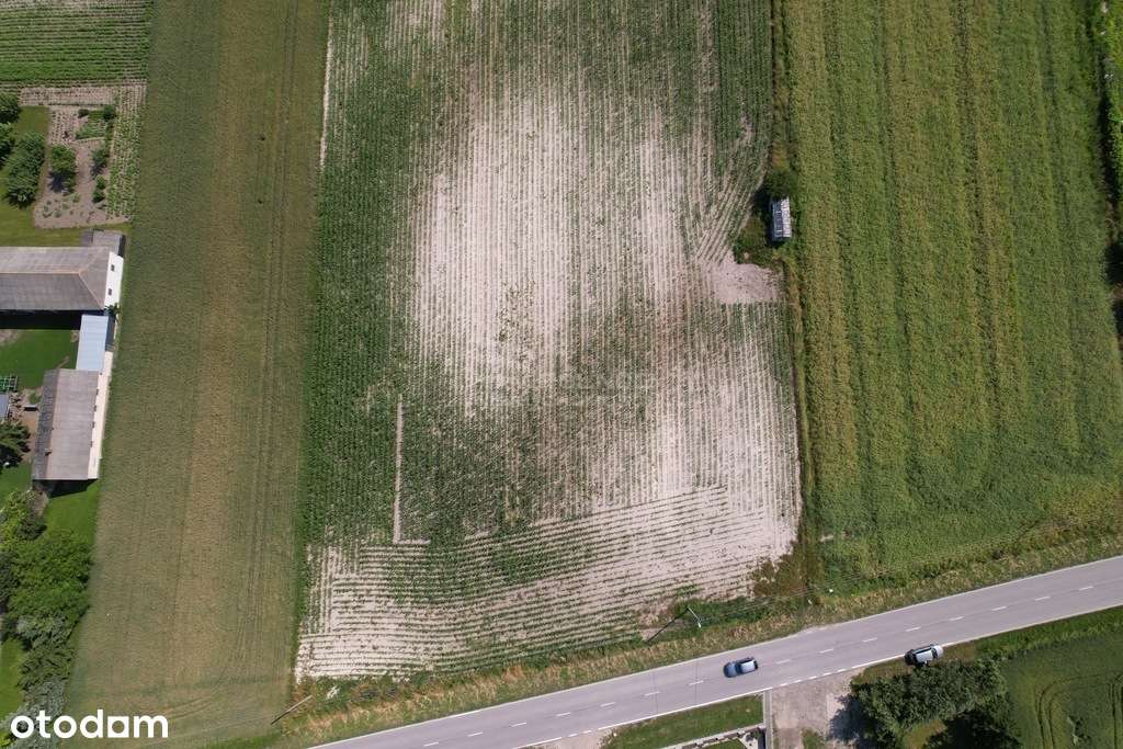 Działka budowlana 29ar. 10 min od Chełma! - Pełny obrazek: 4/6